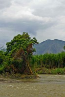 /album/postales-de-viaje/juan-1-jpg/