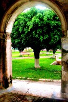 /album/postales-de-viaje/nogni-2-jpg/